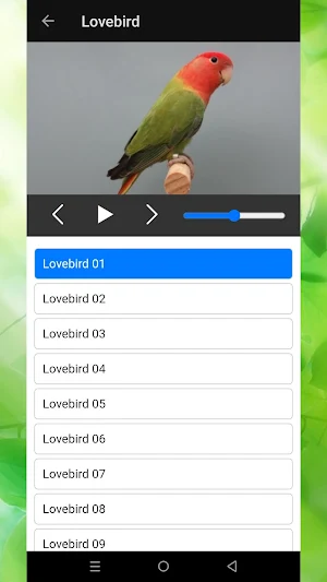 Bird Chirping Sounds Screenshot 2