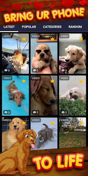 golden retriever wallpaper Screenshot 1