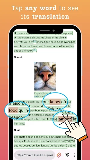 Squeno: Language Learning Screenshot 3