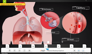 Human Anatomy Explorer Screenshot 3