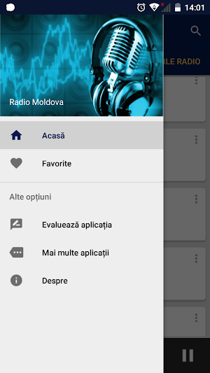 Radiouri din Moldova Screenshot 2