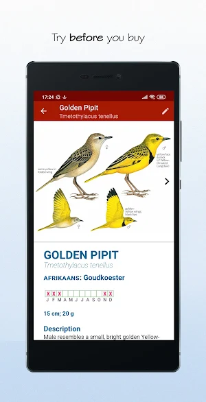 Sasol eBirds Southern Africa LITE Screenshot 1