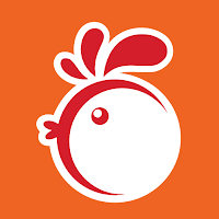 World Of Chicken