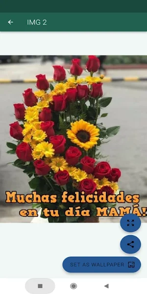 Feliz día de las madres Screenshot 1