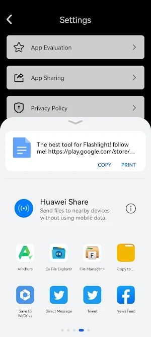 Flashlight Screenshot 0