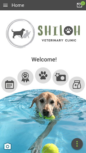Shiloh Veterinary Clinic Screenshot 0
