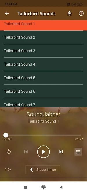 Tailorbird Sounds Screenshot 2