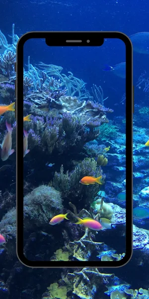 Fish Beautifull Wallpaper Screenshot 0
