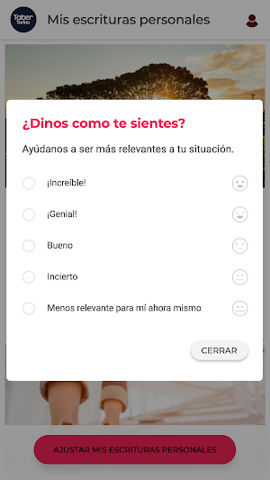 TaberTorinoApp Screenshot 3