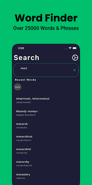 Irish Dictionary English Screenshot 2