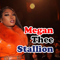 Megan Thee Stallion All Songs