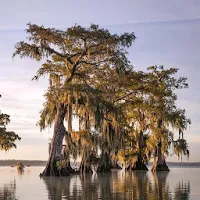 Louisiana Wallpaper HD