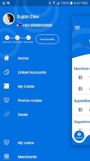 PayWallet Screenshot 1