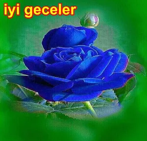 Iyi geceler Screenshot 1