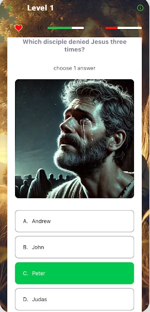 Bible Challenge Screenshot 3