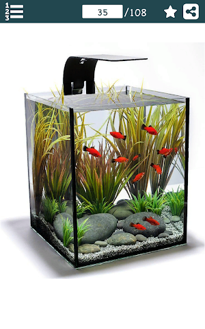 Aquarium Decoration Ideas Screenshot 0