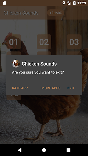 Chicken Sounds Screenshot 2