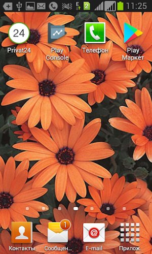 Wallpaper Flowers1 Screenshot 3