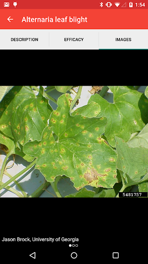 Vegetable Doctor Screenshot 2