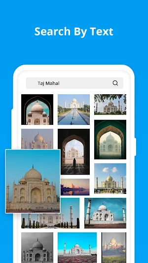 Similar Image Searcher Screenshot 2