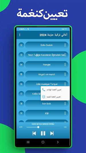 أغاني تركية حزينة-2024 بدون نت Screenshot 2
