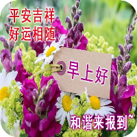 早上好