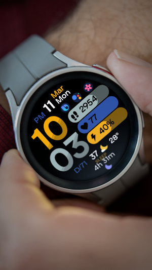 rens watchface81 Screenshot 1