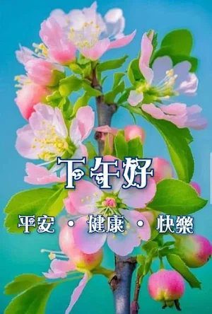 下午好 Screenshot 1
