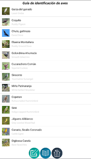 Pico y Ala Screenshot 2