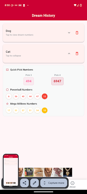 Lottery Dream Numbers Screenshot 2