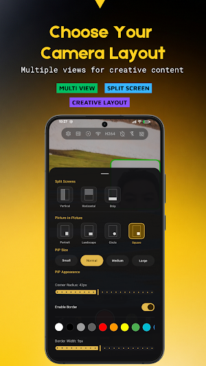 Dual Camera & PiP - DualView Screenshot 2