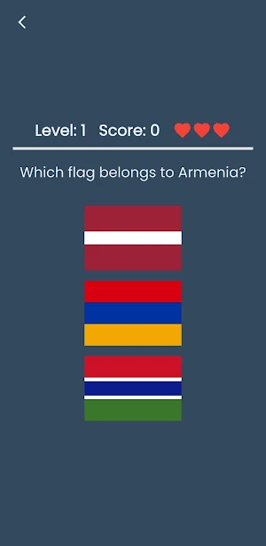 Guess the Flag Master Screenshot 1