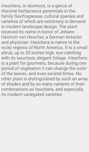 Heuchera Flower Screenshot 1
