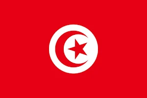 Tunisia Analog Watch Face Screenshot 2