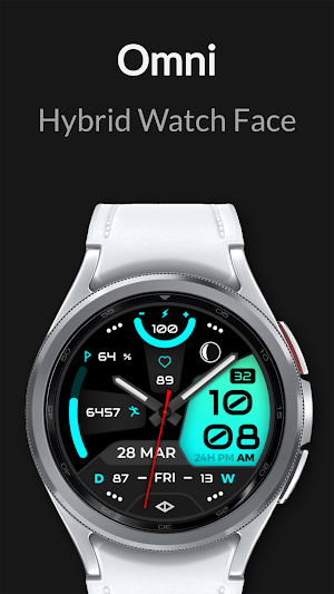Omni: Hybrid Watch Face Screenshot 3