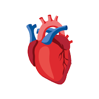 Blood Pressure App- BP Monitor