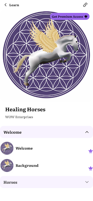 Horses As Healers Screenshot 1