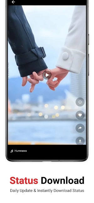 Full Screen Video Status Screenshot 2