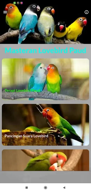Masteran Lovebird Paud Konslet Screenshot 1