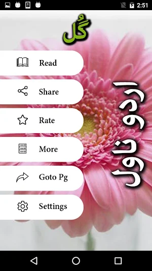 Gull by Seema Shahid - Urdu Novel Offline Screenshot 1