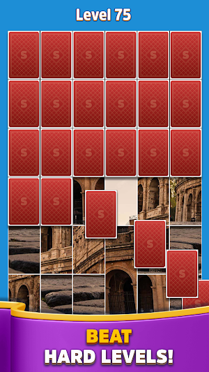 Jigsolitaire Jigsort Puzzle Screenshot 3