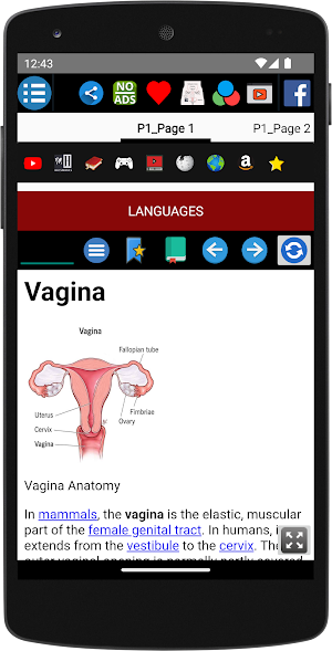Vagina Anatomy Screenshot 1