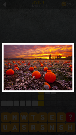 150 Photo Crosswords Screenshot 3