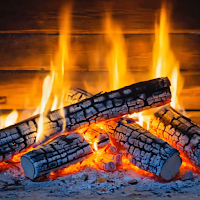 Cozy Fireplace