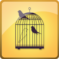 My Birds