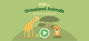 Grassland Animals for Kids screenshot 8