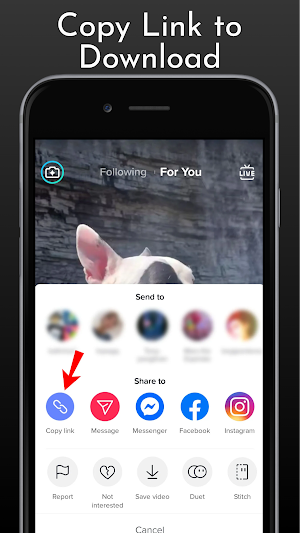 Tmate - TT Video Downloader Screenshot 0