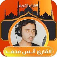 القارئ انس محمد | قران الكريم