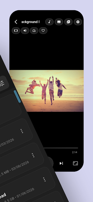Video Archiver MP4 Player Screenshot 1