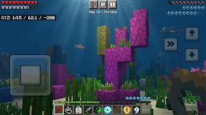 Ninja Craft World Screenshot 0